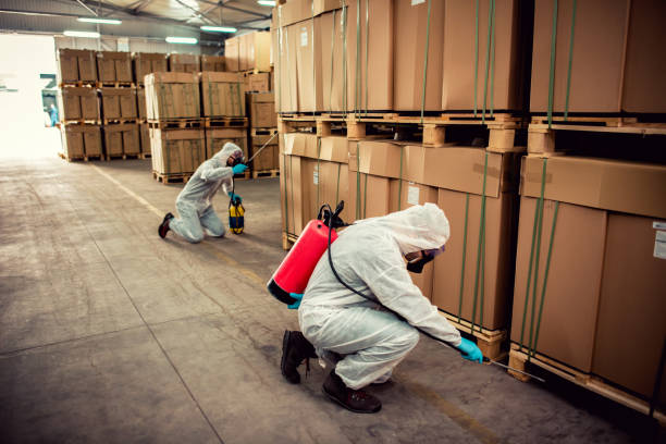 Best Cockroach Control Services  in Ivins, UT