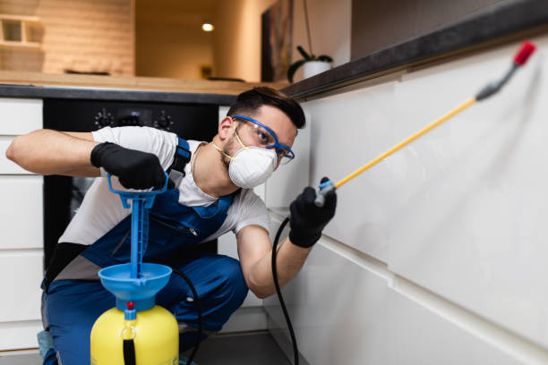 Best Residential Pest Control  in Ivins, UT