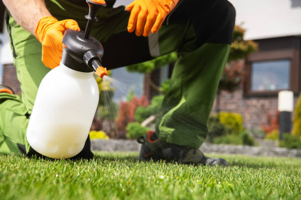Best Pest Inspection Near Me  in Ivins, UT