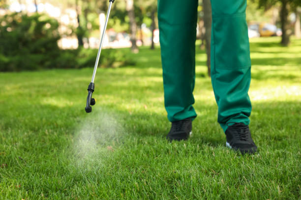 Best Wasp Removal Services  in Ivins, UT