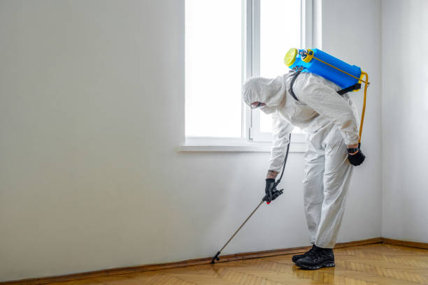 Best Pest Control Near Me in Ivins, UT