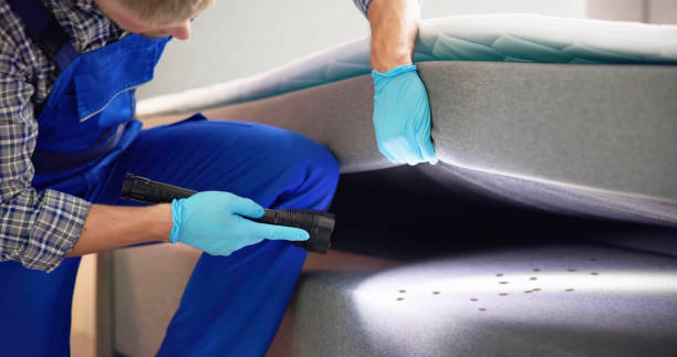 Professional Pest Control in Ivins, UT