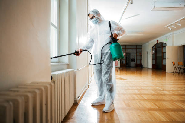 Best Bed Bug Extermination  in Ivins, UT