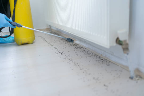 Best Pest Prevention Services  in Ivins, UT