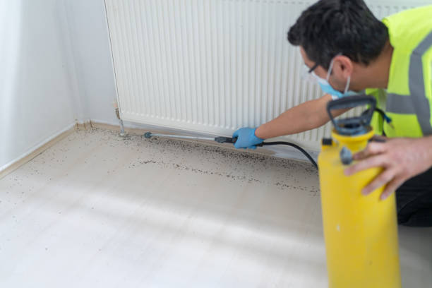 Best Affordable Pest Control Services  in Ivins, UT